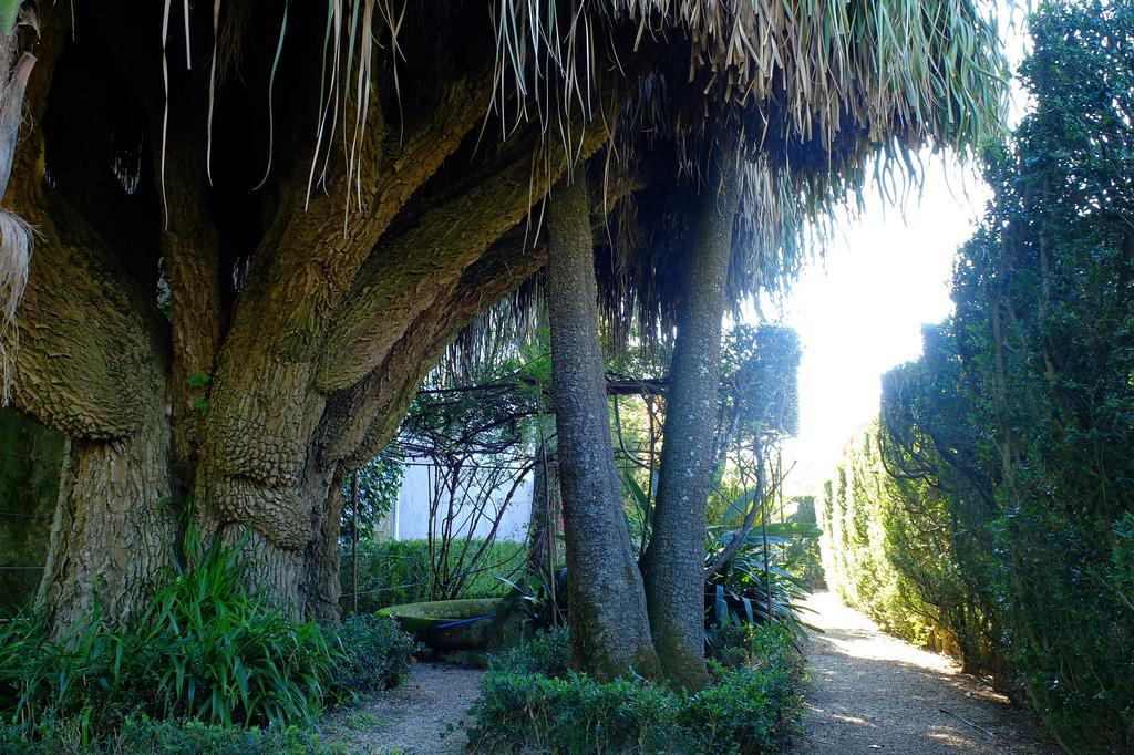 Vila Libania Daire Queluz Dış mekan fotoğraf